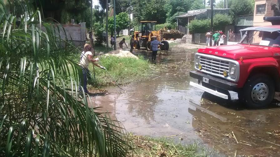 “Cuando levantemos los camalotes aparecerán más víboras”