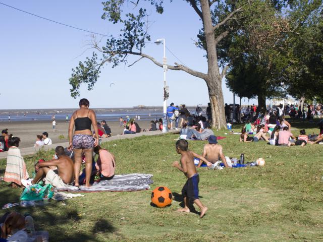 Advierten por víboras no habituales en la Ribera