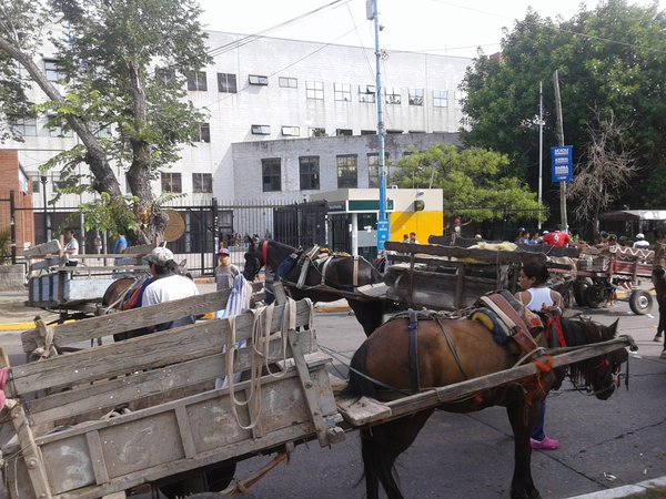 Reclamo de carreros en la Municipalidad