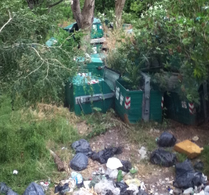 El vivero municipal en «desastre sanitario»