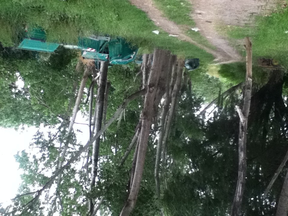 “En el vivero encontramos cien contenedores llenos de basura”
