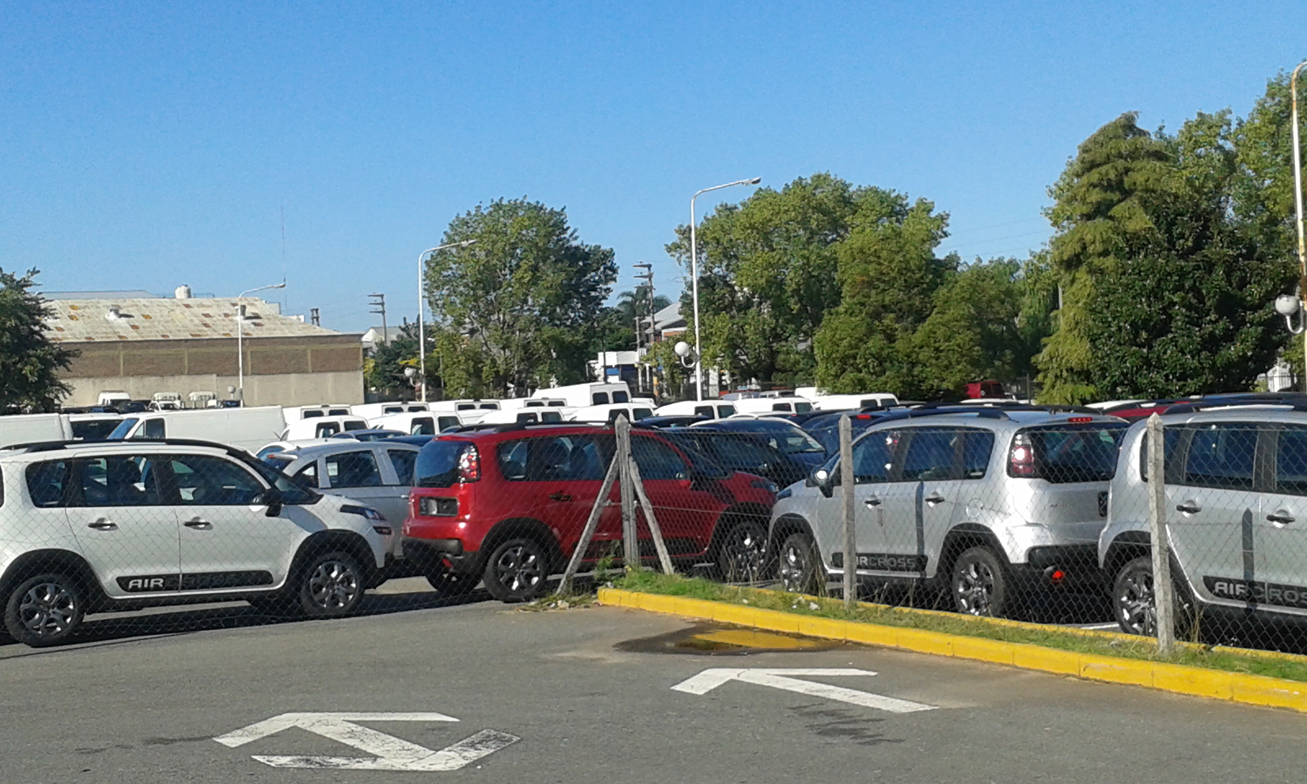 Piden informes por depósito de autos