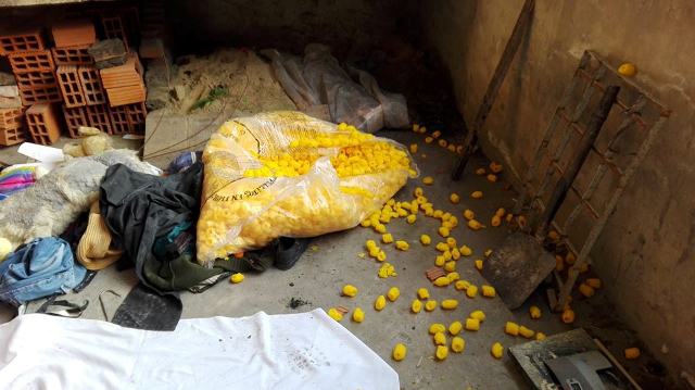 Robo y destrozos en la sociedad de fomento Villa Luján