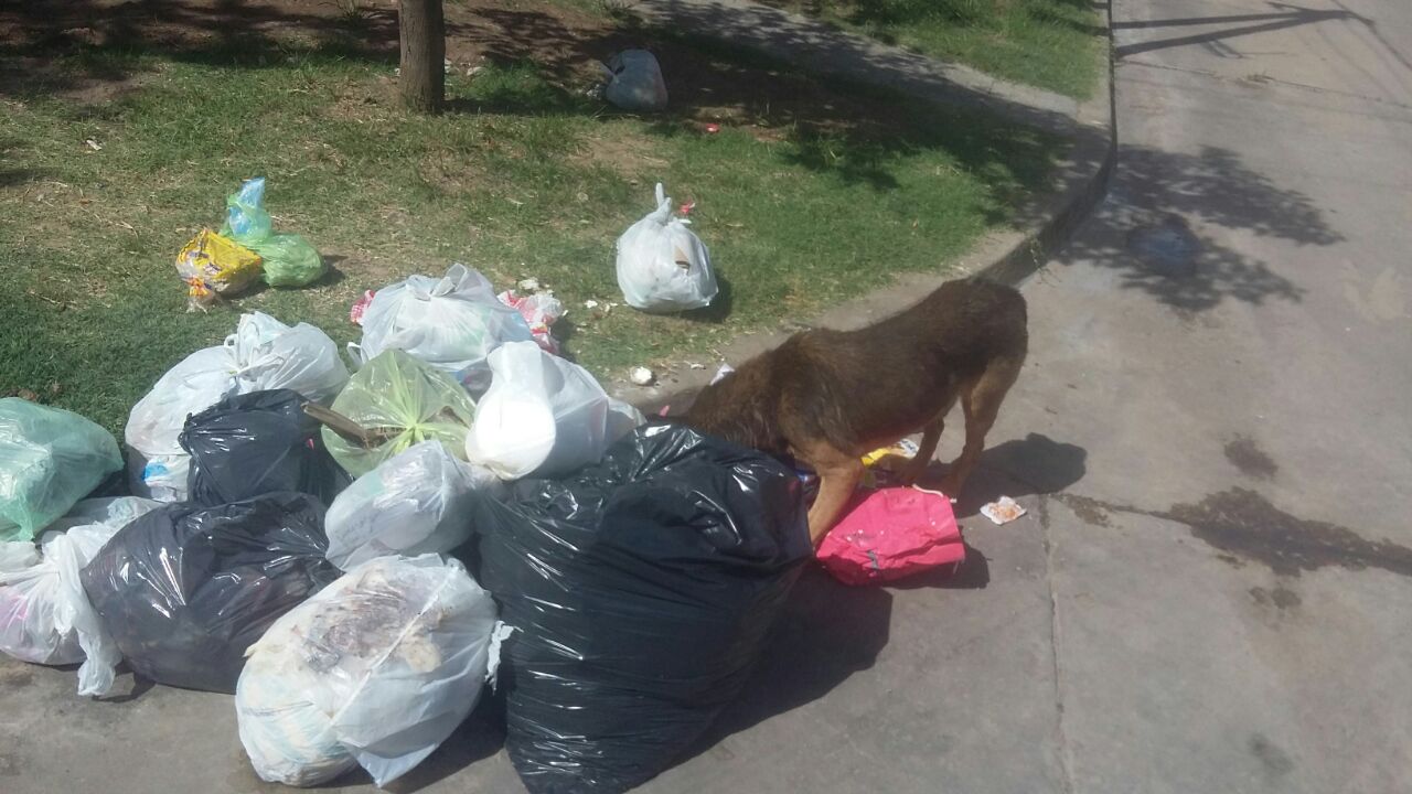 #Quilmes – Algo huele mal