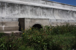 Imagen tomada el pasado 11 de marzo. La arena se ha elevado frente al murallón que impide la salida del agua a través de los caños, provocando inundaciones.