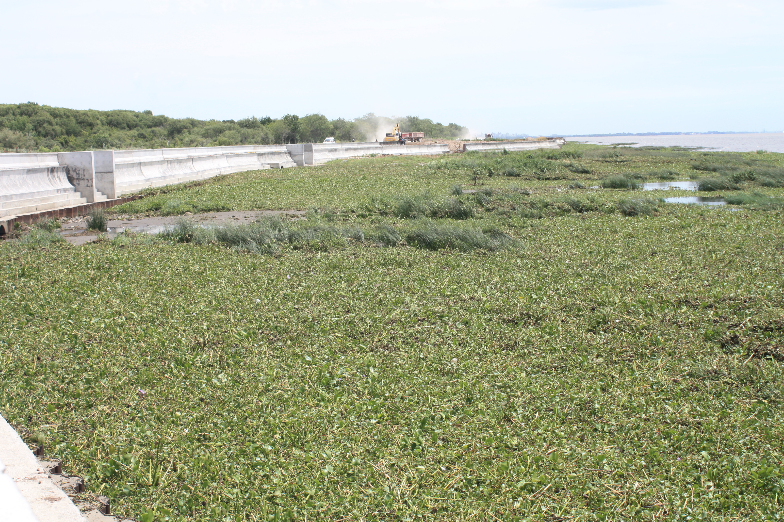 Nueva audiencia judicial por las obras en la Ribera de Hudson