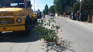 WhatsApp Image 2017-03-20 at 13.28.27