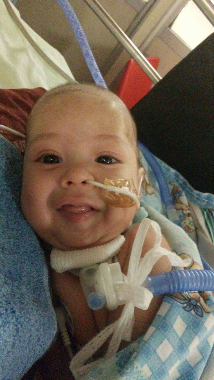 Desesperado pedido de ayuda para Noha