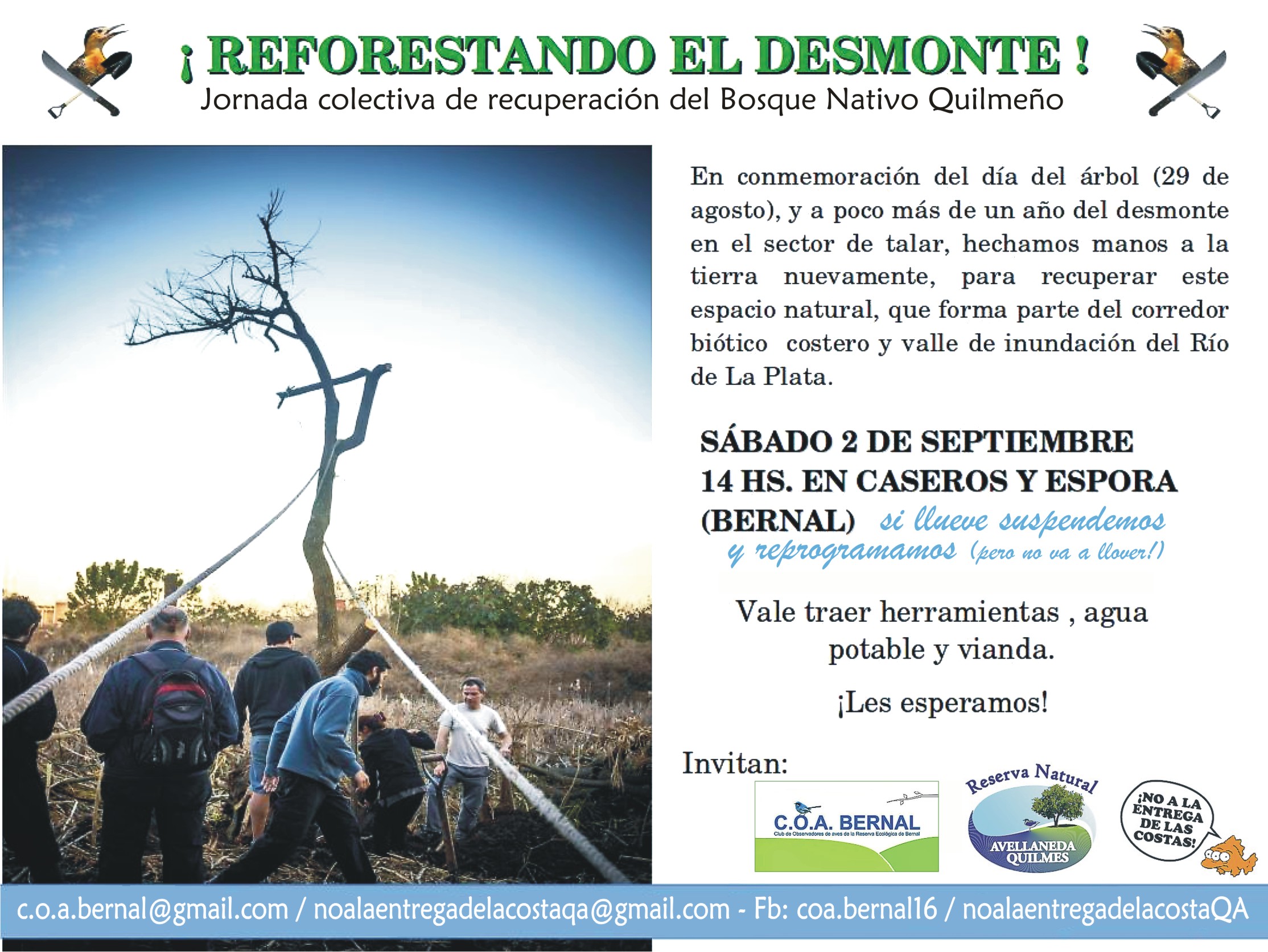 Jornada de reforestación en bosque nativo quilmeño