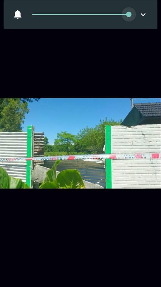 Un toro quiso escapar y embistió a un bebé