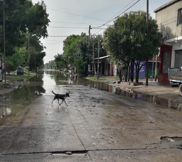 El temporal golpeó con fuerza a la región