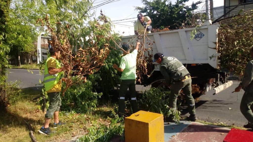 Operativo para paliar las consecuencias del temporal