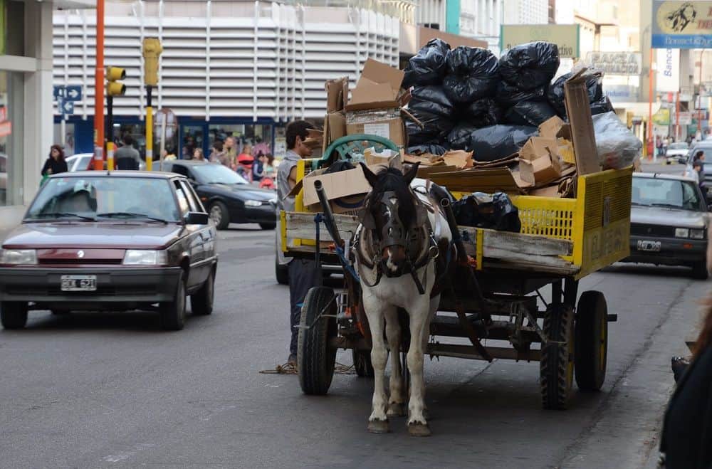 El gobierno modificó la reglamentación de la ordenanza de tracción a sangre en Quilmes