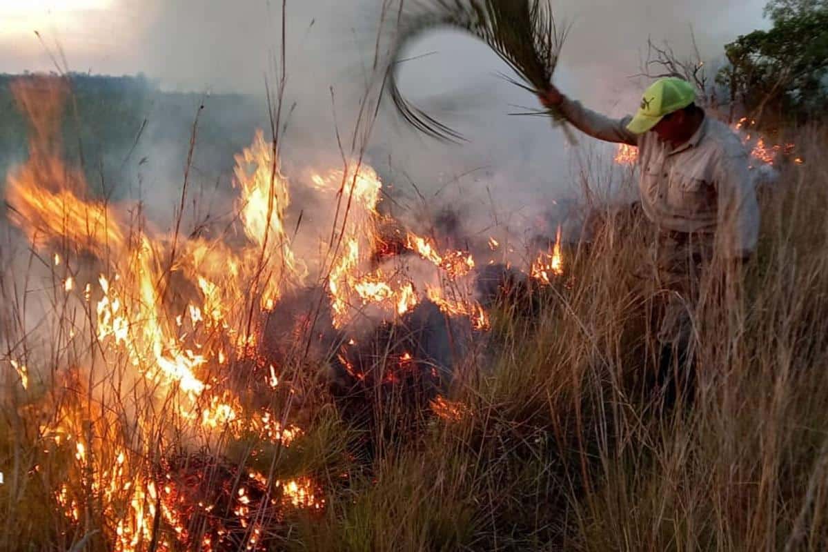 Se multiplican los pedidos de solidaridad por los incendios en Corrientes