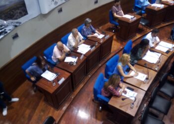 Concejala opositora «recapacitó» y Ferraresi se quedó sin ordenanza