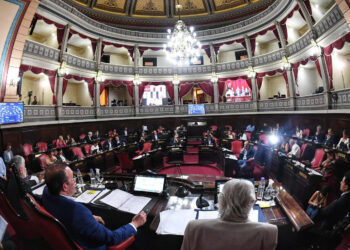 Tiene media sanción la reforma a la Ley de Adopción