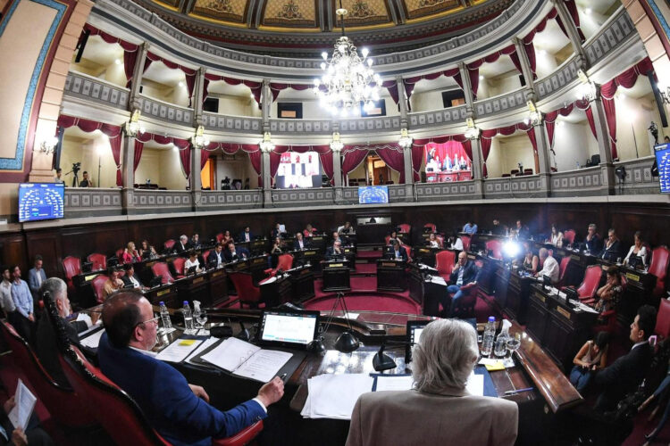 Tiene media sanción la reforma a la Ley de Adopción