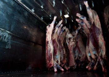 Hay otros dos internados por carne en mal estado y Salud sospecha de un brote alimentario