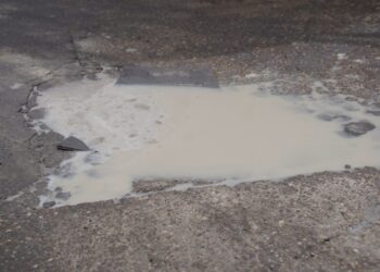 Clausuraron una grasera por vuelcos ilegales en Valentín Alsina