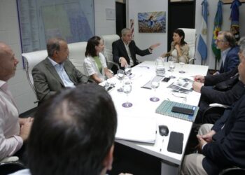 Mussi y Mayra se reunieron con Ferraresi por Edesur