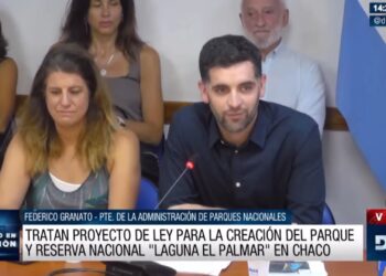 Obtuvo media sanción la creación de la reserva nacional Laguna El Palmar