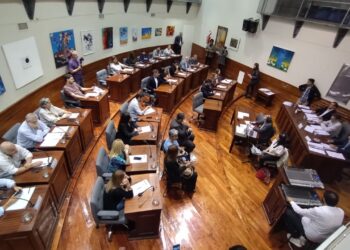 Breve y tranquila jornada en el Concejo de Avellaneda