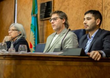 “El vecino va a elegir la conducción de Martín Insaurralde”