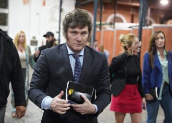 Quienes son los candidatos a concejales de Milei en la región