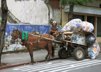 Lanús prohibió la tracción a sangre animal