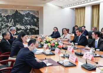 “China se ha convertido en un socio comercial clave para Argentina”