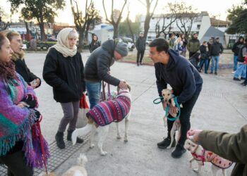 Álvarez propone la creación de un hospital veterinario municipal