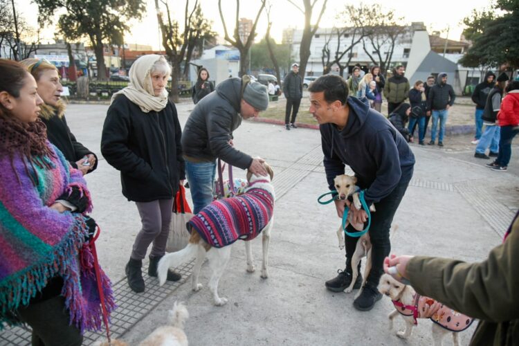 Álvarez propone la creación de un hospital veterinario municipal
