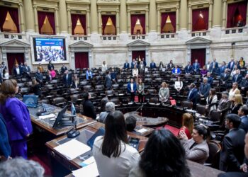 Moreau celebró la media sanción al proyecto que incorpora la violencia digital