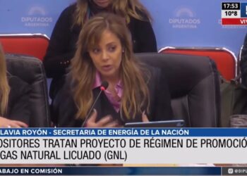 Royón defendió en Diputados la Ley de  Gas Natural Licuado