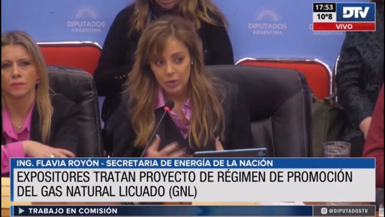Royón defendió en Diputados la Ley de  Gas Natural Licuado