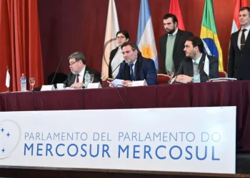 Quienes son los precandidatos a parlamentarios del Mercosur, diputados y senadores nacionales por la provincia