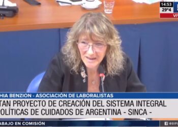 Gremios respaldaron el proyecto que crea el sistema integral de cuidados