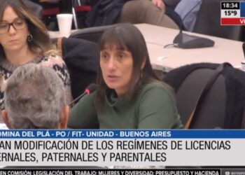 Obtuvo dictamen la modificación al régimen de licencias parentales