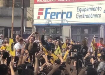 Milei y el fervor adolescente