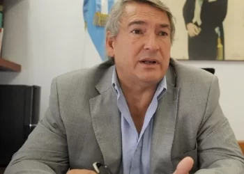 D´Onofrio no descarta que Milei se baje: “Veo un escenario similar al de Menem en 2003”