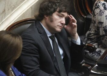 Ocho diputados provinciales electos amenazan con abandonar a Milei por el acuerdo con Macri