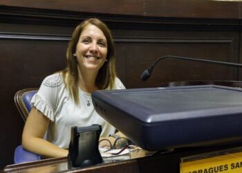 “El responsable de romper el bloque de La Libertad Avanza es Sebastián Pareja”