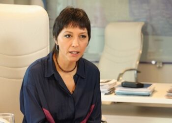 Mayra, Watson y Ferraresi rechazaron el DNU de Milei