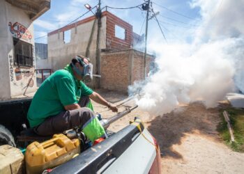 La invasión de mosquitos obligó a una tarea de fumigación masiva