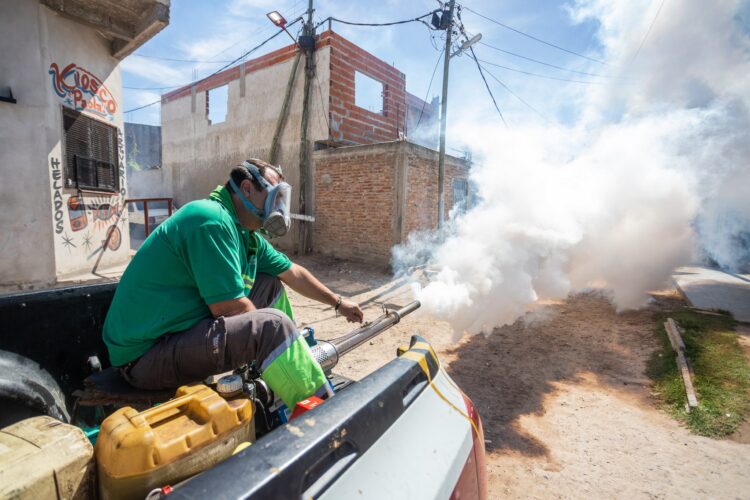 La invasión de mosquitos obligó a una tarea de fumigación masiva
