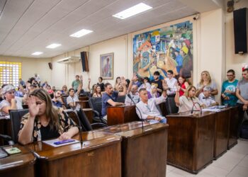 El radicalismo le dio los votos al kirchnerismo para sacar adelante la primera sesión del año