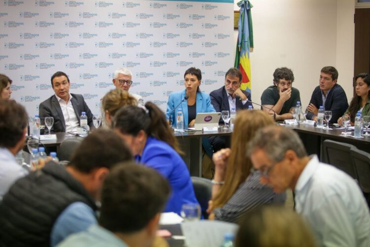 Contra la motosierra: Intendentes impulsan un proyecto de ley para conseguir financiamiento internacional