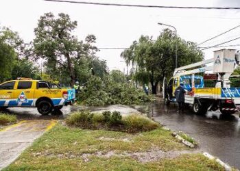El Municipio salió a limpiar desagües y pide cuidado con los residuos domiciliarios