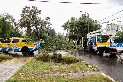 El Municipio salió a limpiar desagües y pide cuidado con los residuos domiciliarios
