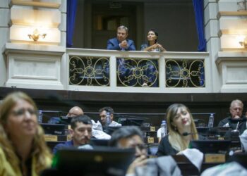 Comité de Cuenca: Diputados le dio media sanción del proyecto
